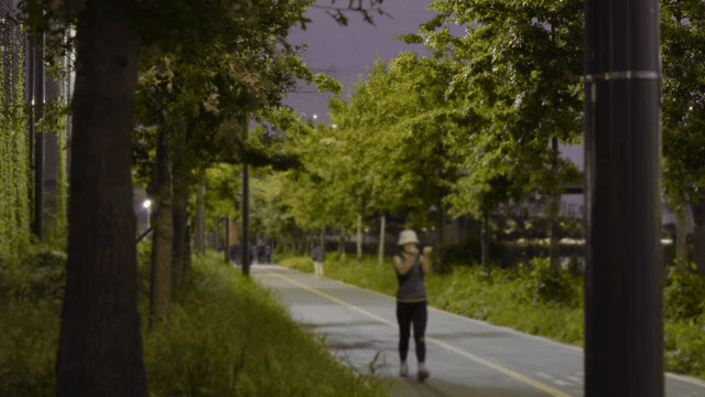 Person jogging on a tree-lined path