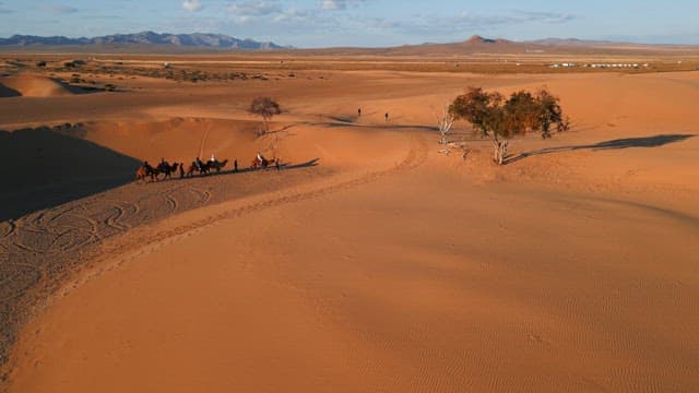 Camel procession crossing a vast desert