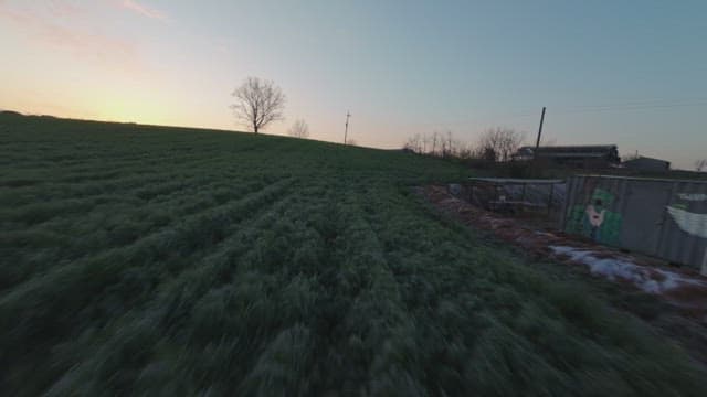 Sunset over a vast green field