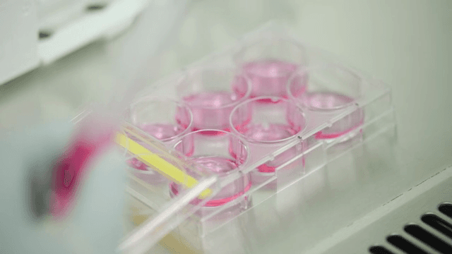 과학자가 분홍색 액체가 든 시험관을 다루는 모습