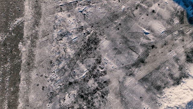 눈 덮인 나무와 겨울 풍경