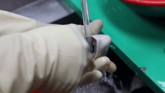 흐르는 물에 생선 세척