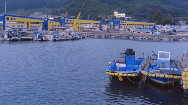 Fishing boats docked at a harbor