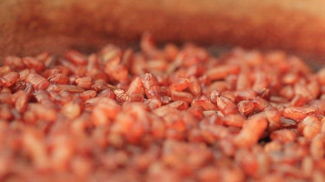 먹음직스럽게 조리된 윤기 나는 현미밥