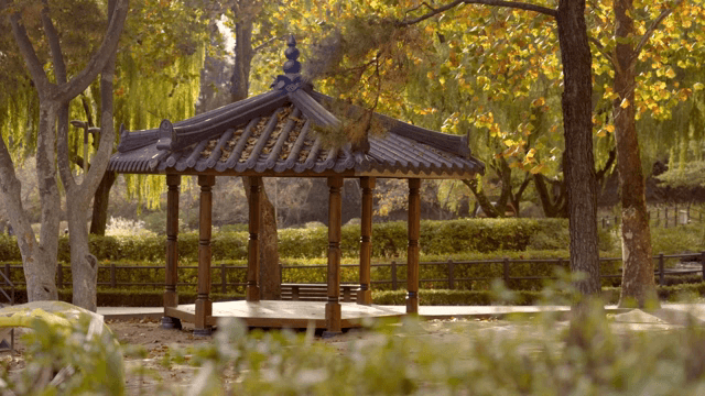 공원에 있는 전통 한국 정자