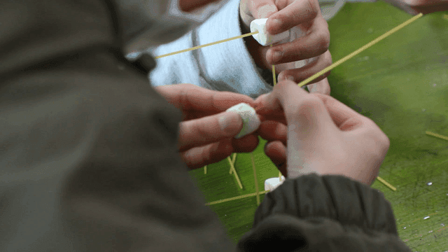 Elementary school students building structures out of marshmallows