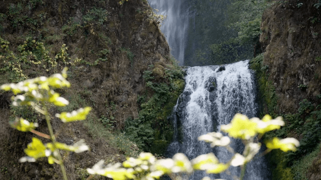 A serene waterfall cascading down rocks