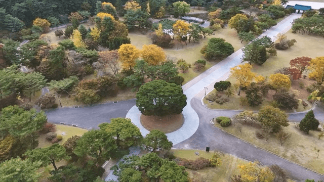 Park with colorful autumn trees