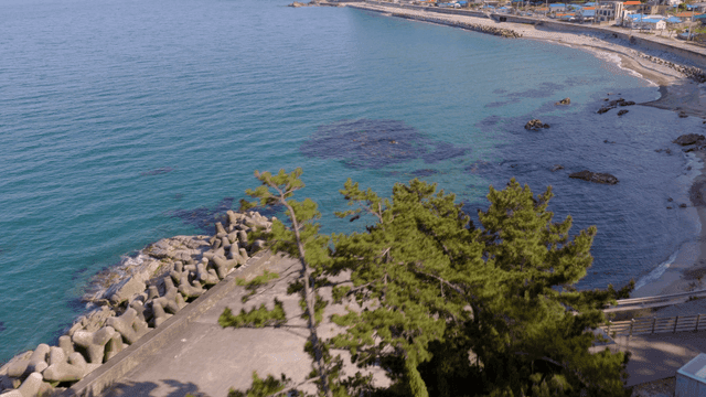 Coastal road with lush trees and clear sea