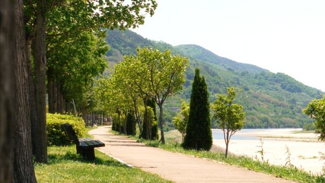 Tree-lined trail beside a calm river under a bright sky