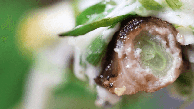 Korean dish with green onions and beef intestines