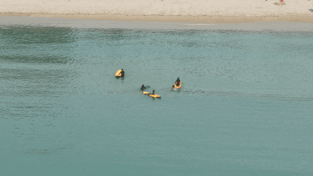 People surfing near the sandy beach