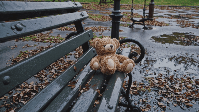 비오는 날 벤치에 버려진 곰인형