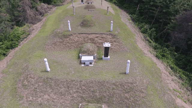 Traditional Korean tombs in a forested area