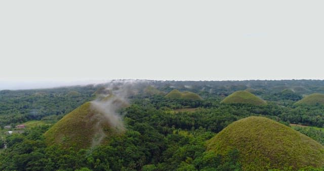 Chocolate Hills Surrounded by Lush Green Forests