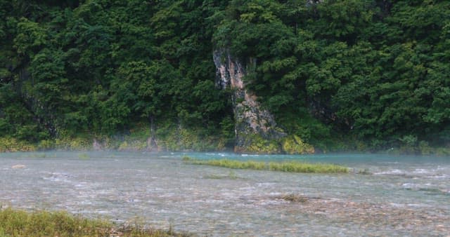 싱그러운 숲을 흐르는 잔잔한 강