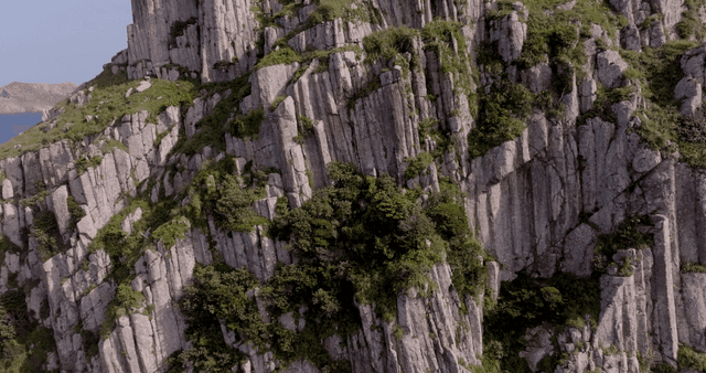 녹색 식물이 있는 바위 절벽