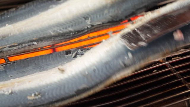 뜨거운 그릴에서 구워지는 장어