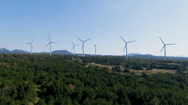 넓은 녹지에 있는 풍력 터빈