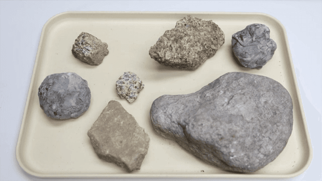 Various rocks displayed on a tray
