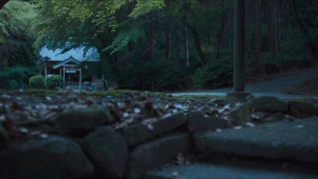 숲길로 이어지는 돌계단 위 일본 신사