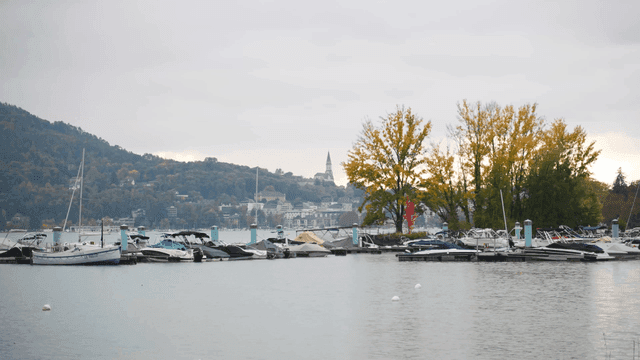 Peaceful lakeside with boats and trees