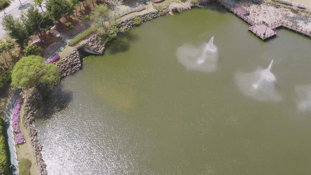 호수와 분수가 있는 고요한 공원