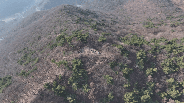 Aerial view of a dense forest landscape