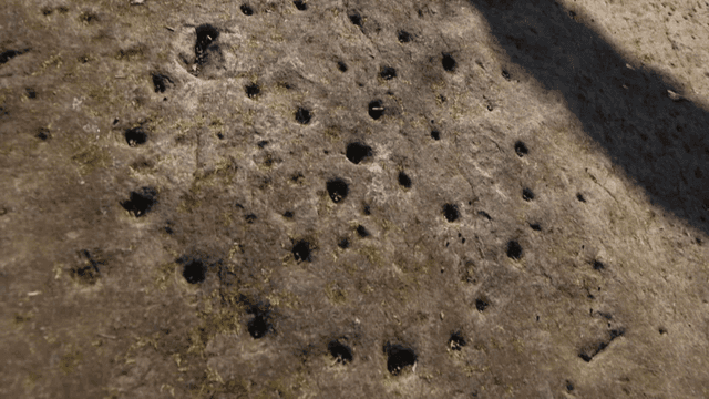 Rock surface with small holes and moss