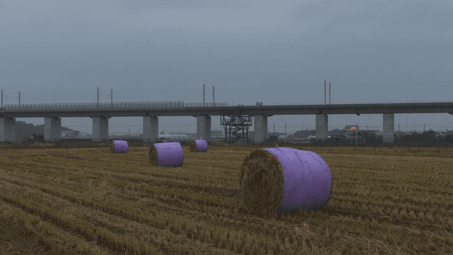 hay bales in a field under a cloudy sky