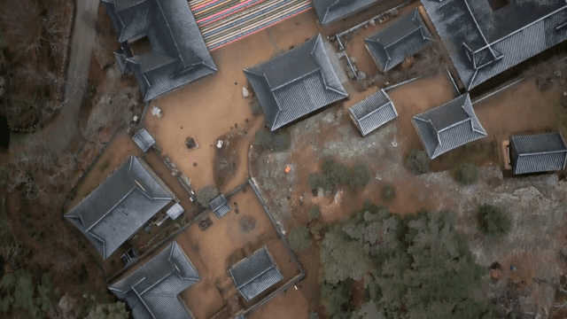 나무로 둘러싸인 전통 한국 사찰