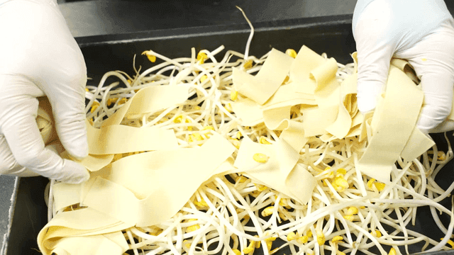 Tray topped with bean sprouts and dried tofu