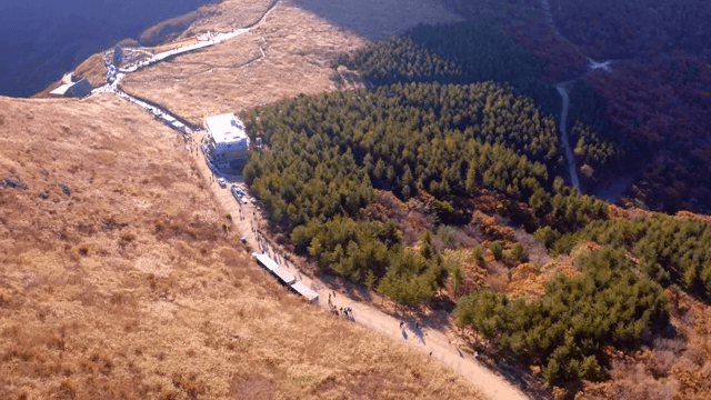 숲이 우거진 산길의 항공 뷰