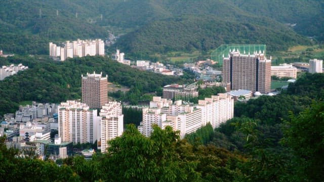 숲이 우거진 언덕에 둘러싸인 도심 건물의 항공 뷰