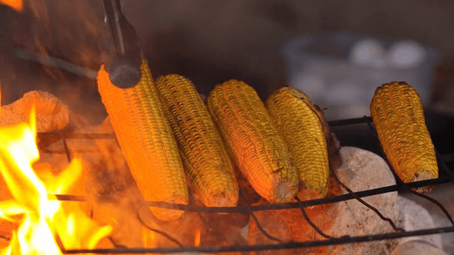 불 위에서 구워지는 옥수수