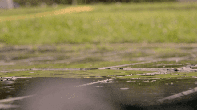 Rain falling on a grassy field