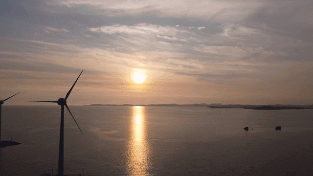 Wind turbines at sea in sunset sunlight