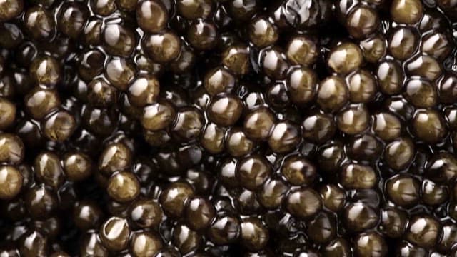 Shimmering Caviar, the Black Pearl