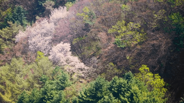 푸른 산의 풍경