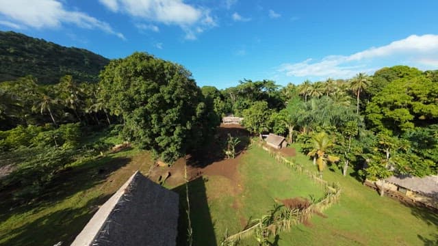 Lush rainforest with cabins visible on a sunny day