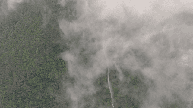 구름에 덮인 안개 낀 숲