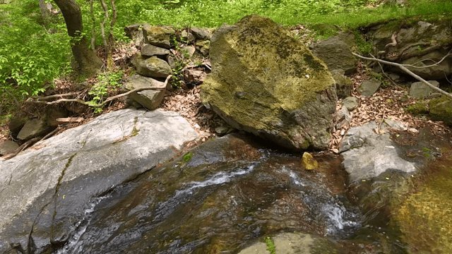 바위 위로 흐르는 작은 시냇물