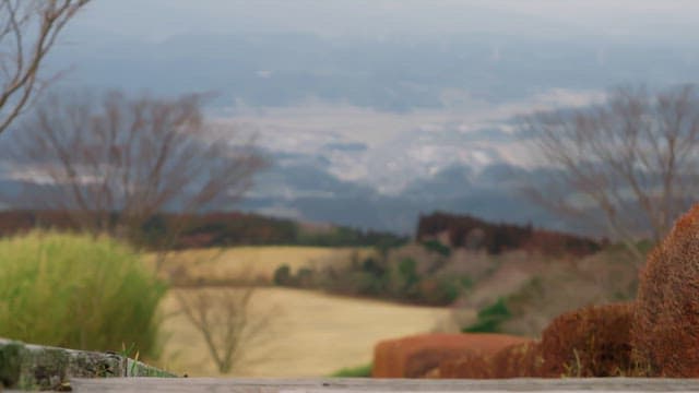 Person walking on a scenic hill