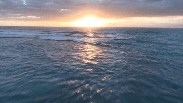 야자수가 있는 열대 해변의 일몰