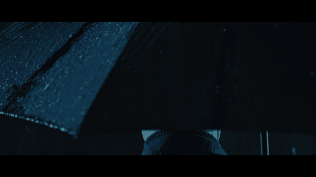 Back view of person holding umbrella on rainy day