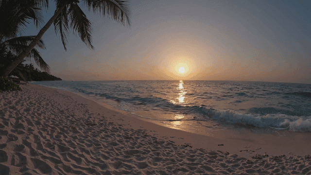 Tranquil tropical beach with view of sunset