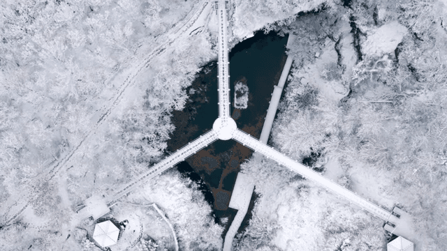 다리와 함께 눈 덮인 숲