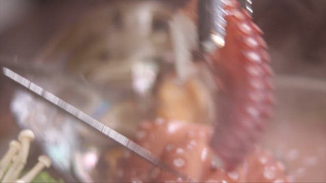 다양한 조개류와 문어가 들어간 해산물 전골