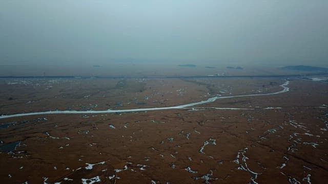 Vast marshland with winding streams