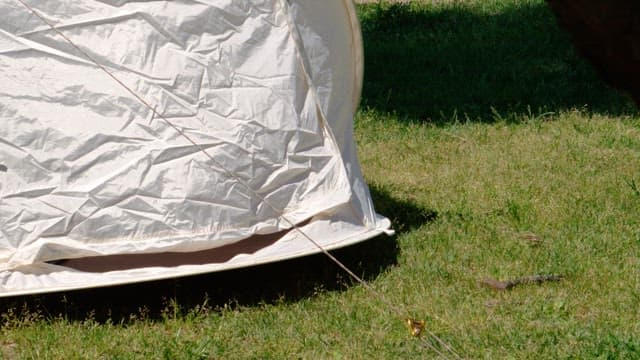 Camping tent set up in a grassy area on a sunny day